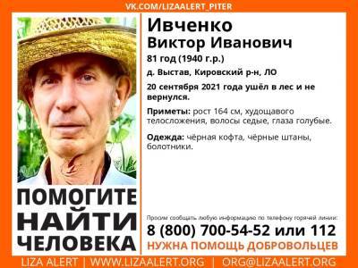 В Кировском районе районе без вести пропал 81-летний мужчина