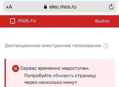 Москвичи пожаловались на долгое ожидание выдачи бюллетеней для онлайн-голосования
