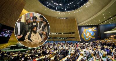 Талибан: боевики захотели выступить на Генассамблее ООН и назначили нового посла