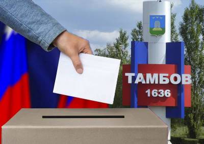 Общественная палата: в Тамбовской области при выборах было несколько десятков «возможных нарушений»