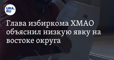 Глава избиркома ХМАО объяснил низкую явку на востоке округа