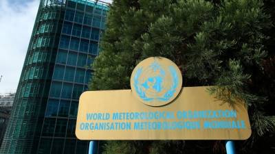 ООН: пандемия не замедлила темпов климатических изменений