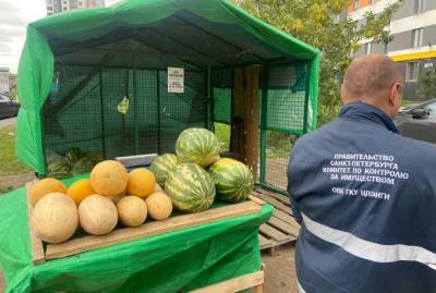 Петербургские чиновники за неделю ликвидировали 62 торговых точки с арбузами и дынями