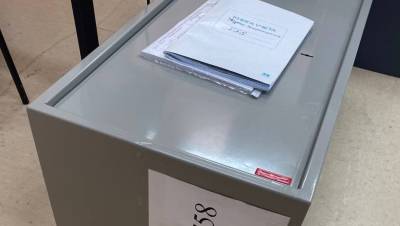 Бюллетени на трёх избирательных участках в Петербурге признали недействительными
