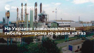 Эксперт Землянский заявил, что химпром Украины убивают высокие цены на газ