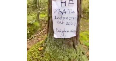 Жители Подмосковья забронировали грибы в лесах и возмутили пользователей сети