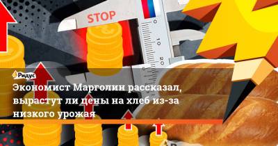 Андрей Марголин - Экономист Марголин рассказал, вырастут ли цены на хлеб из-за низкого урожая - ridus.ru - Россия