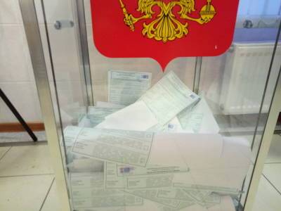 Кандидат Нилов насчитал в своем округе слишком много урн для голосования