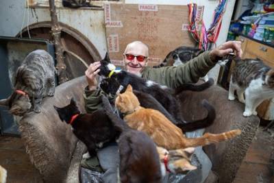 Холостой бездетный мужчина поселил у себя дома 70 кошек