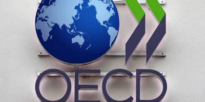 РФ предложила ОЭСР скорректировать механизм для защиты активного бизнеса