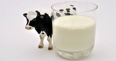 Брестская область продолжает наращивать производство молока
