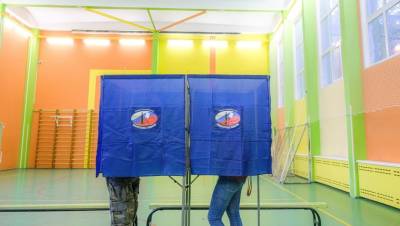 Единороссы выиграли выборы в Госдуму в Архангельской области