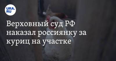 Верховный суд РФ наказал россиянку за куриц на участке