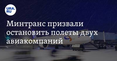 Минтранс призвали остановить полеты двух авиакомпаний