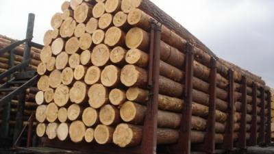 Украина может разрешить экспорт леса