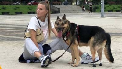 Ветеринары из Новосибирска и ученые томского политеха возвращают животных к нормальной жизни – Учительская газета