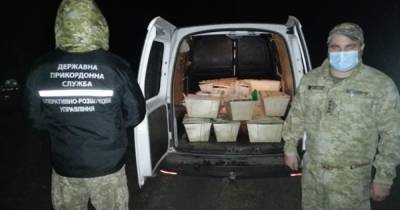 На границе с Россией изъяли почти полтонны контрабандных устриц, — ГПСУ
