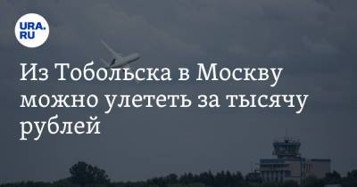 Из Тобольска в Москву можно улететь за тысячу рублей