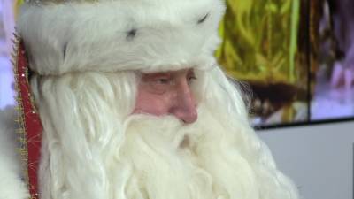 Дед Мороз из Великого Устюга отдал голос на выборах в режиме онлайн