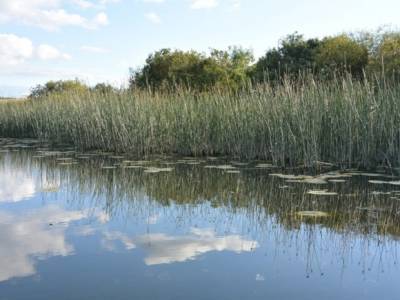 В ХМАО МЧС возобновило работы по поиску упавшего в болото гидросамолета
