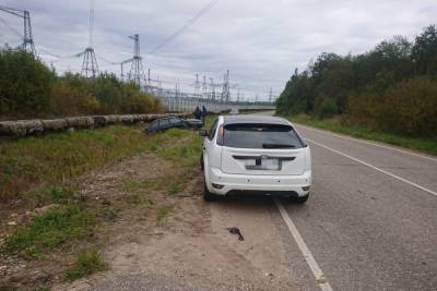 В Тверской области легковушка пересекла сплошную и столкнулась с иномаркой