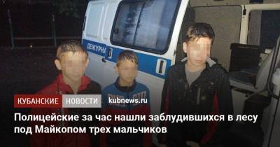 Полицейские за час нашли заблудившихся в лесу под Майкопом трех мальчиков