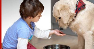 Ребенок и собака: неочевидные преимущества воспитания детей в доме с животными