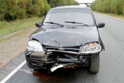 40-летняя пассажирка пострадала в ДТП в Марий Эл