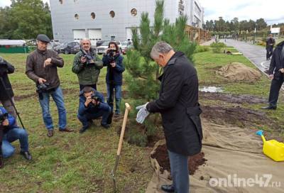 В новом сосновоборском парке «Сосен» высадили первые деревья