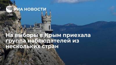 Депутат Гемпель: в Крым на выборы прибыла группа наблюдателей из нескольких стран мира