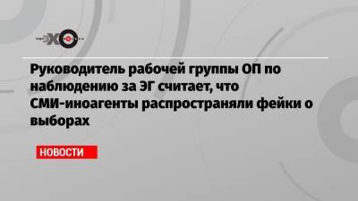 Руководитель рабочей группы ОП по наблюдению за ЭГ считает, что СМИ-иноагенты распространяли фейки о выборах