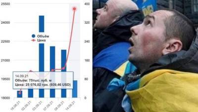 От роста цен на газ в Европе больше всех пострадала Украина
