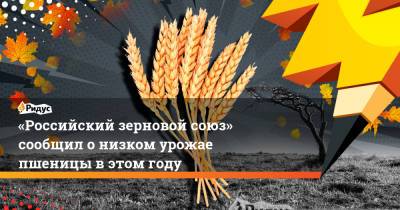 «Российский зерновой союз» сообщил онизком урожае пшеницы вэтом году