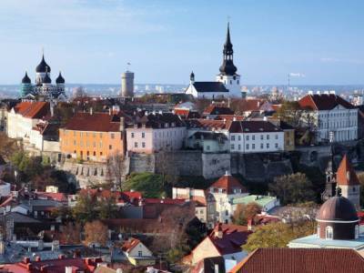 Языковой департамент Эстонии требует объяснения от местной партии за агитацию на русском языке