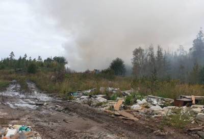 На территории Муринского городского поселения загорелась свалка