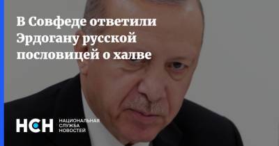 В Совфеде ответили Эрдогану русской пословицей о халве