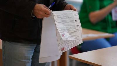 Общественная палата рассказала о фейках на выборах в Госдуму