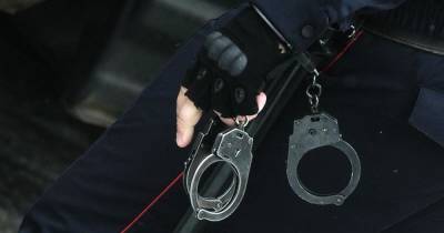 В Москве арестовали разбившего в «Ашане» прилавки с алкоголем блогера