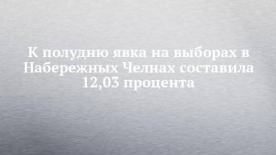 К полудню явка на выборах в Набережных Челнах составила 12,03 процента