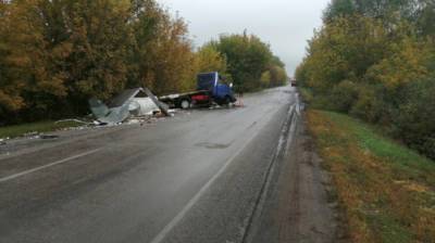 Два человека пострадали в массовом ДТП с фурами на трассе в Воронежской области