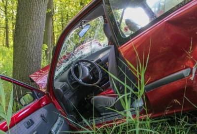 Водитель ВАЗ погиб ночью в результате столкновения с деревом в Ленобласти