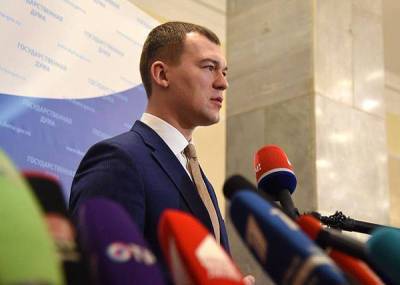 Член ЛДПР: Дегтярев не может считаться избранным губернатором
