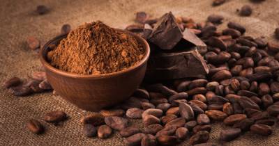 С помощью какао. Ученые нашли новый способ как продлить человеческую жизнь