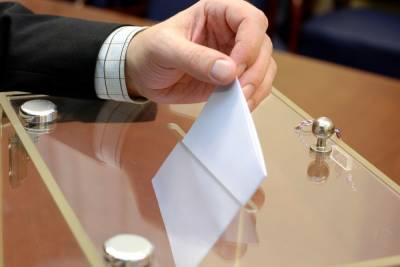 Во второй день голосования в Петербурге явка на выборы в Госдуму составила 16,7 процента
