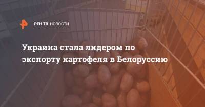 Украина стала лидером по экспорту картофеля в Белоруссию