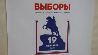 Политолог Киреев поддержал идею наказать причастных к нарушениям на выборах в Петербурге