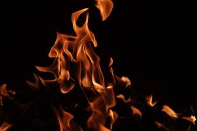 890 пожаров произошло в Тульской области за текущий период 2021 года