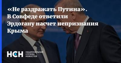 «Не раздражать Путина». В Совфеде ответили Эрдогану насчет непризнания Крыма