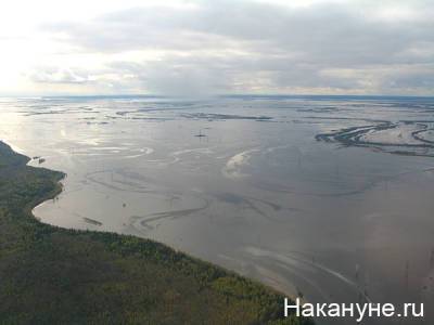В зоне паводковых подтоплений в Воронежской области запретят строительство