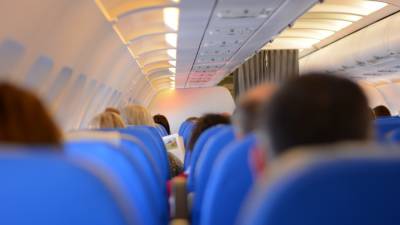 Клиенты авиакомпании Utair смогут перевозить своих питомцев на пассажирских креслах